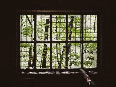 用户效果展示2
